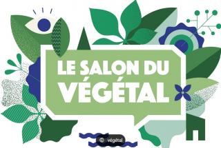 salon végétal