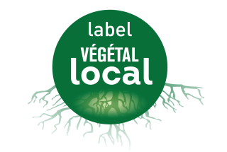 logo label VL2026